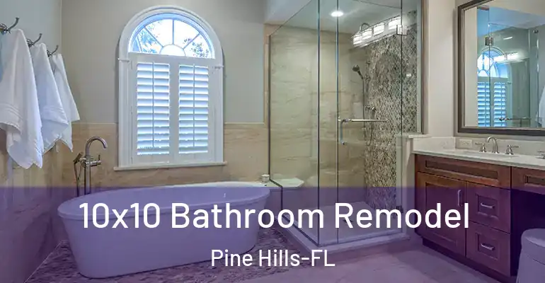inner Bathroom imggen 10x10 Bathroom Remodel Pine Hills-FL