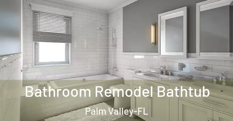 inner Bathroom imggen Bathroom Remodel Bathtub Palm Valley-FL