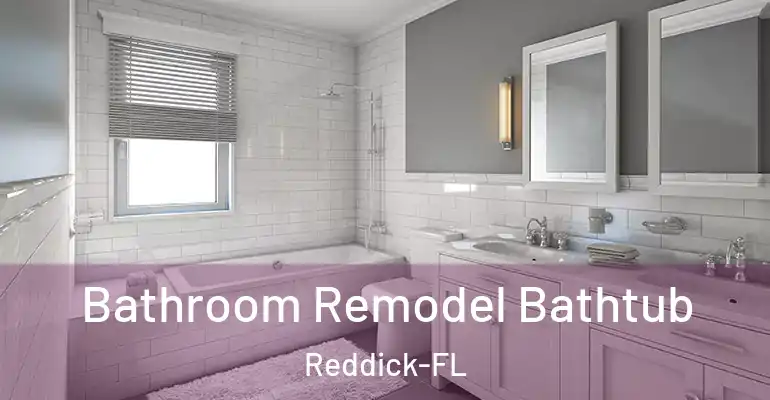 inner Bathroom imggen Bathroom Remodel Bathtub Reddick-FL