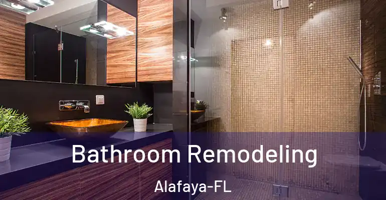 inner Bathroom imggen Bathroom Remodeling Alafaya-FL