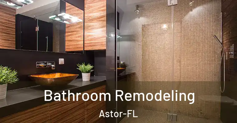 inner Bathroom imggen Bathroom Remodeling Astor-FL