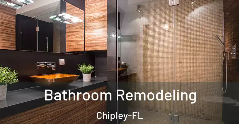 inner Bathroom imggen Bathroom Remodeling Chipley-FL