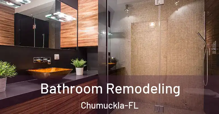 inner Bathroom imggen Bathroom Remodeling Chumuckla-FL