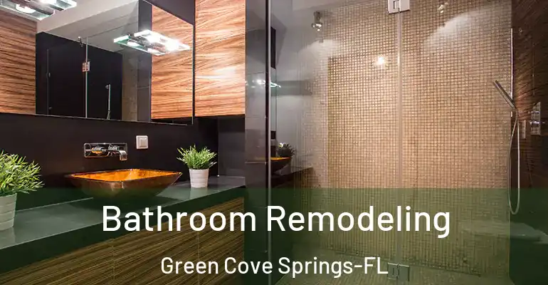 inner Bathroom imggen Bathroom Remodeling Green Cove Springs-FL