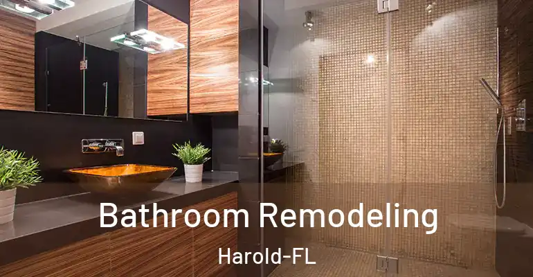 inner Bathroom imggen Bathroom Remodeling Harold-FL