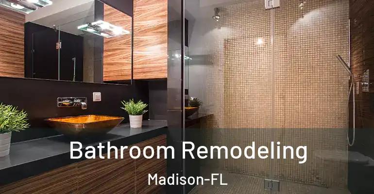 inner Bathroom imggen Bathroom Remodeling Madison-FL