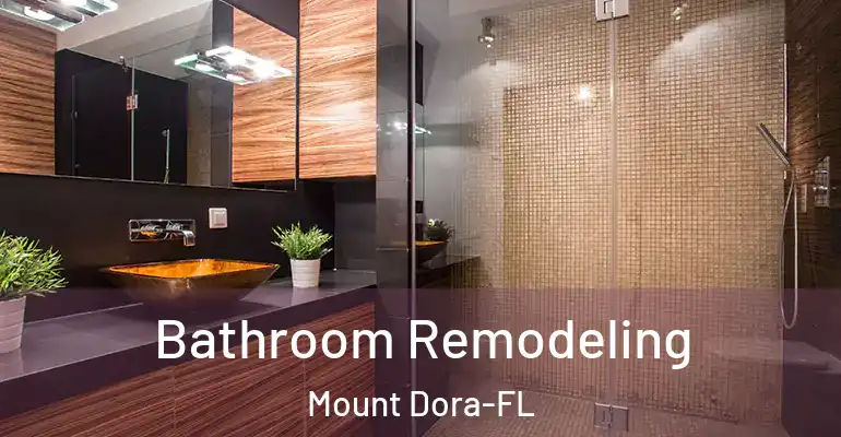 inner Bathroom imggen Bathroom Remodeling Mount Dora-FL