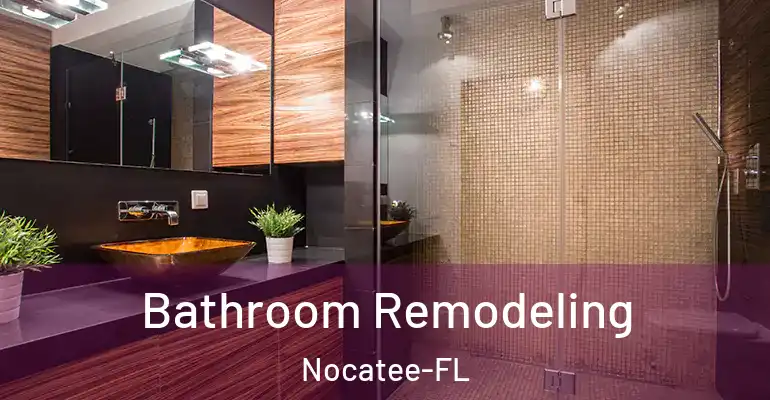 inner Bathroom imggen Bathroom Remodeling Nocatee-FL
