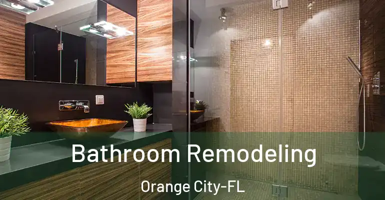 inner Bathroom imggen Bathroom Remodeling Orange City-FL