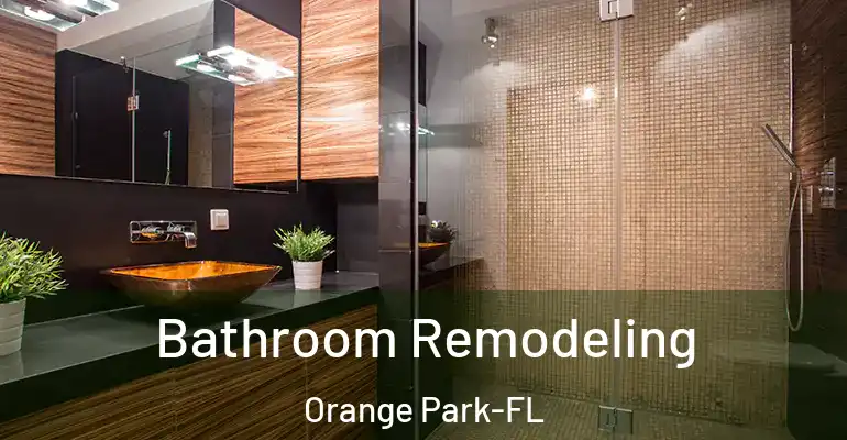 inner Bathroom imggen Bathroom Remodeling Orange Park-FL