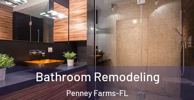 inner Bathroom imggen Bathroom Remodeling Penney Farms-FL