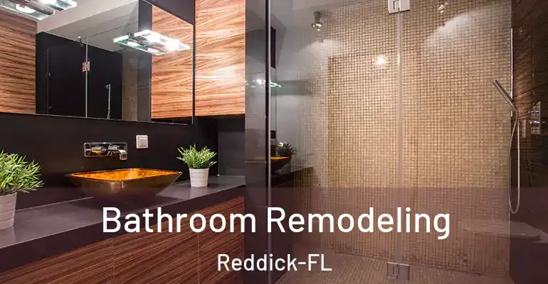 inner Bathroom imggen Bathroom Remodeling Reddick-FL