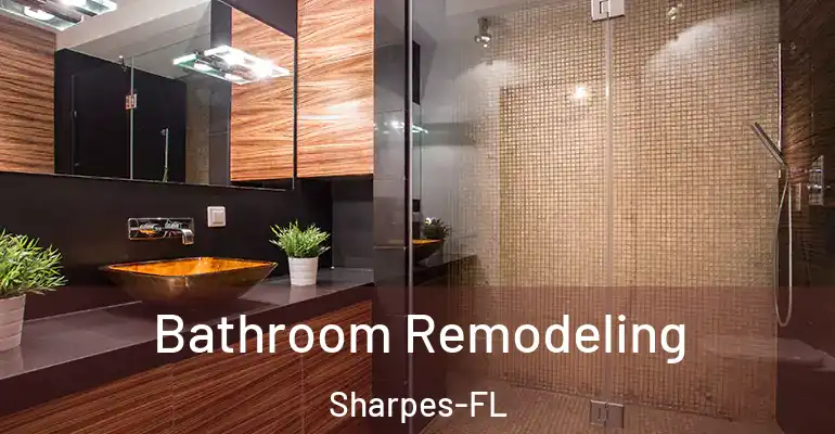 inner Bathroom imggen Bathroom Remodeling Sharpes-FL