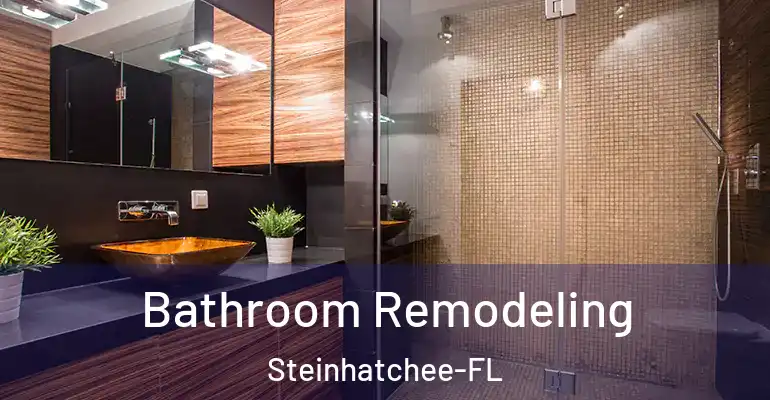 inner Bathroom imggen Bathroom Remodeling Steinhatchee-FL