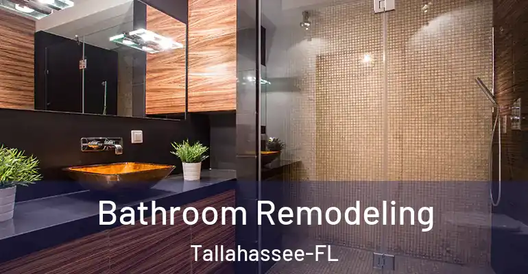 inner Bathroom imggen Bathroom Remodeling Tallahassee-FL