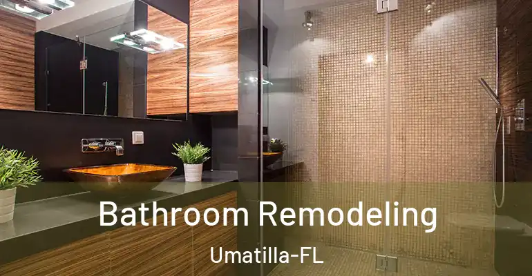 inner Bathroom imggen Bathroom Remodeling Umatilla-FL