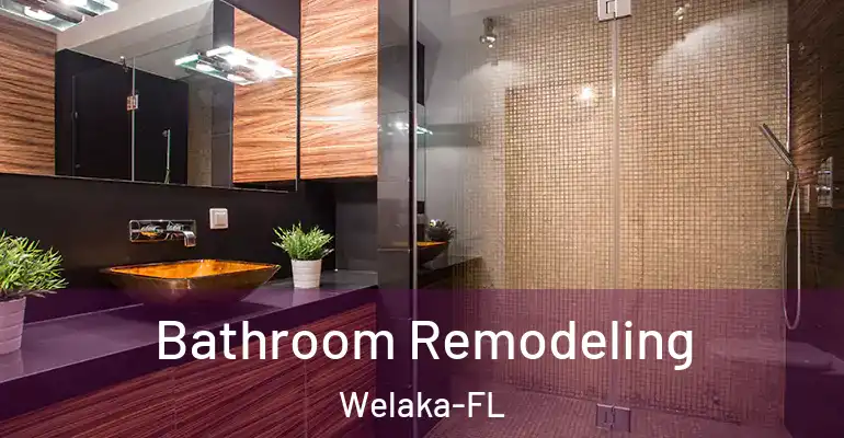 inner Bathroom imggen Bathroom Remodeling Welaka-FL