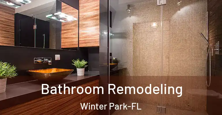 inner Bathroom imggen Bathroom Remodeling Winter Park-FL