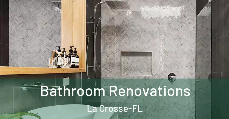 inner Bathroom imggen Bathroom Renovations La Crosse-FL