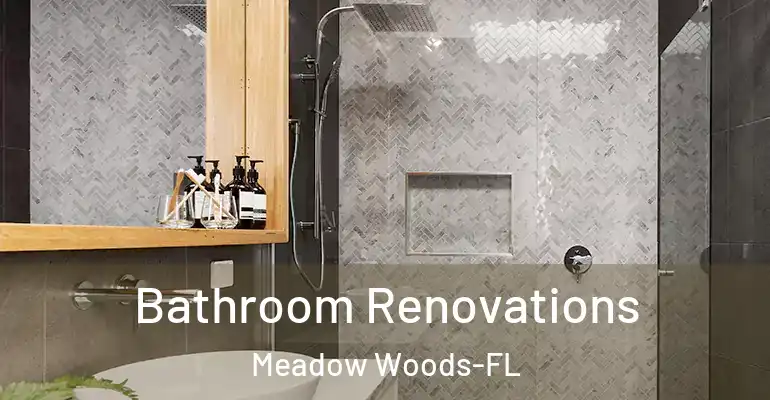 inner Bathroom imggen Bathroom Renovations Meadow Woods-FL