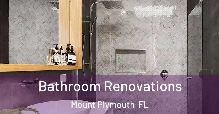 inner Bathroom imggen Bathroom Renovations Mount Plymouth-FL