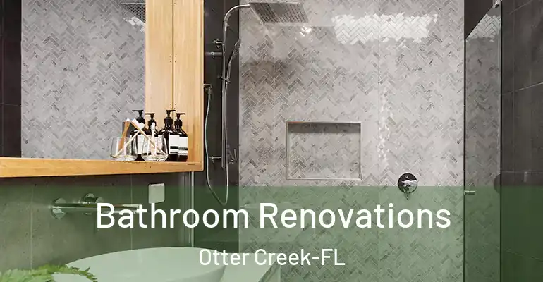 inner Bathroom imggen Bathroom Renovations Otter Creek-FL