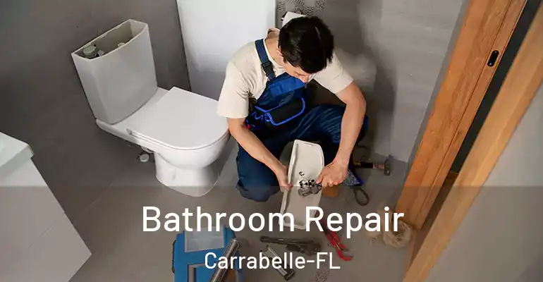 inner Bathroom imggen Bathroom Repair Carrabelle-FL