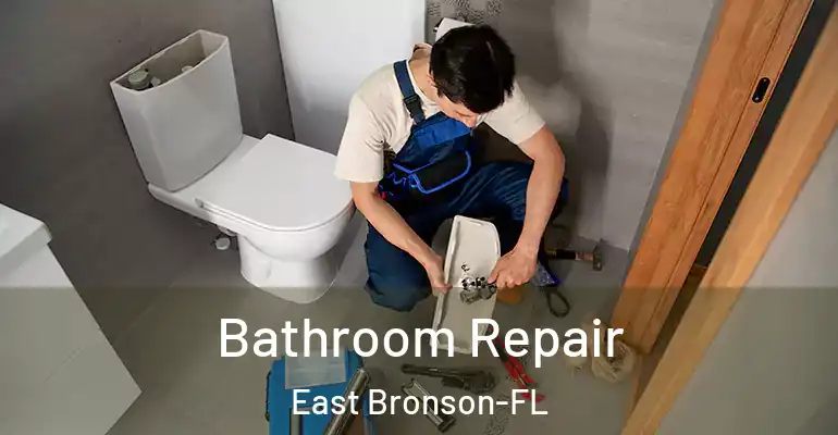 inner Bathroom imggen Bathroom Repair East Bronson-FL