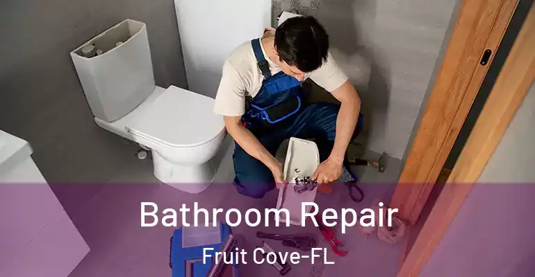 inner Bathroom imggen Bathroom Repair Fruit Cove-FL