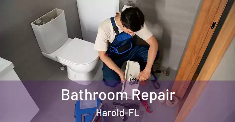 inner Bathroom imggen Bathroom Repair Harold-FL