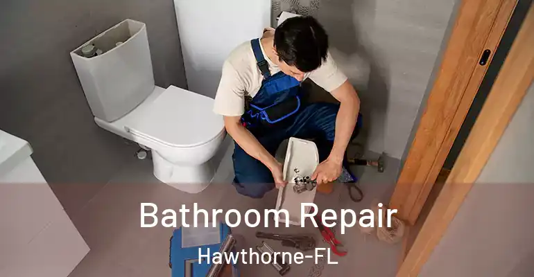 inner Bathroom imggen Bathroom Repair Hawthorne-FL