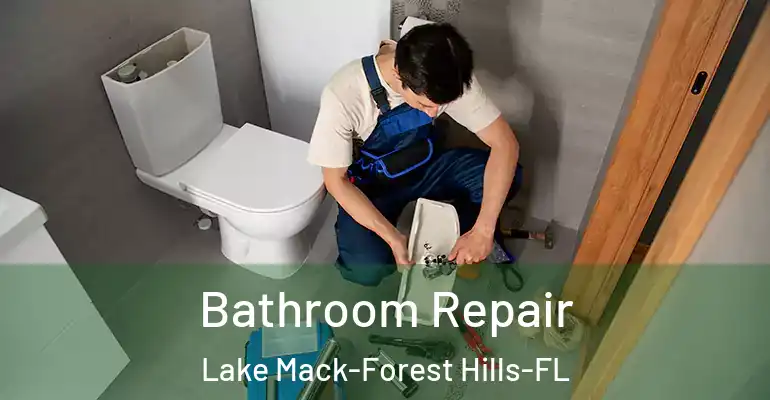 inner Bathroom imggen Bathroom Repair Lake Mack-Forest Hills-FL