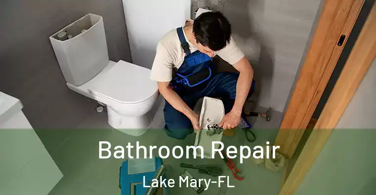 inner Bathroom imggen Bathroom Repair Lake Mary-FL