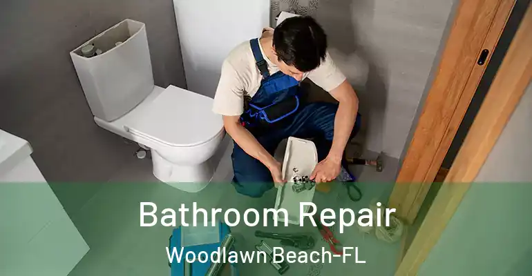 inner Bathroom imggen Bathroom Repair Woodlawn Beach-FL