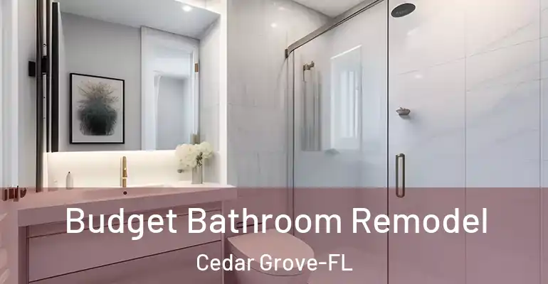 inner Bathroom imggen Budget Bathroom Remodel Cedar Grove-FL