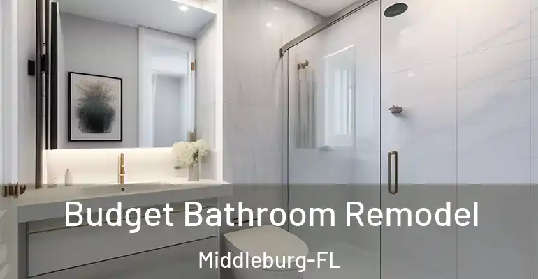 inner Bathroom imggen Budget Bathroom Remodel Middleburg-FL