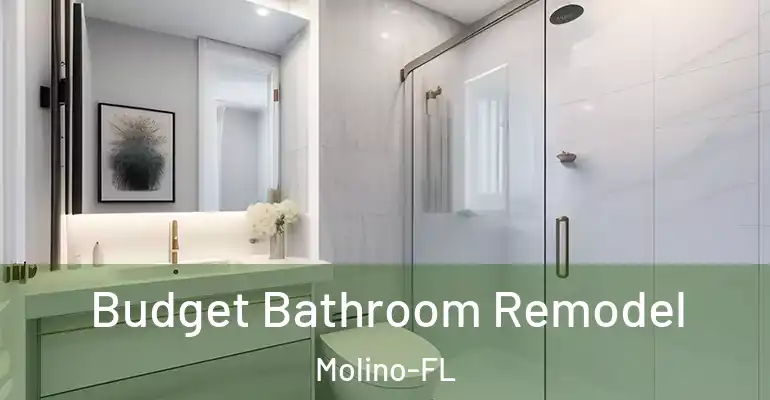 inner Bathroom imggen Budget Bathroom Remodel Molino-FL