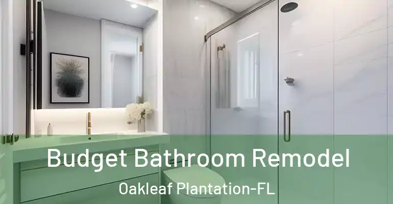 inner Bathroom imggen Budget Bathroom Remodel Oakleaf Plantation-FL
