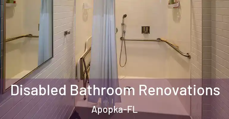 inner Bathroom imggen Disabled Bathroom Renovations Apopka-FL