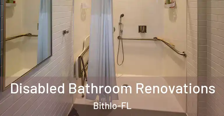 inner Bathroom imggen Disabled Bathroom Renovations Bithlo-FL