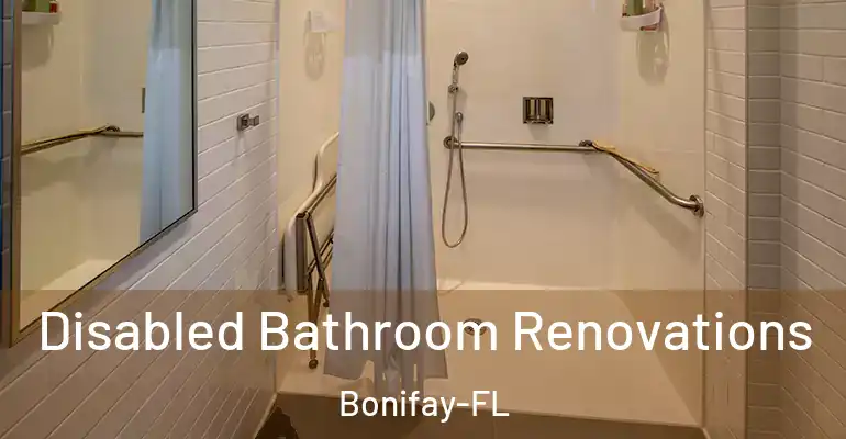 inner Bathroom imggen Disabled Bathroom Renovations Bonifay-FL