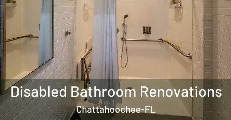 inner Bathroom imggen Disabled Bathroom Renovations Chattahoochee-FL