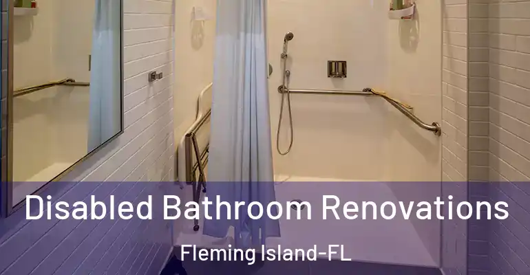 inner Bathroom imggen Disabled Bathroom Renovations Fleming Island-FL