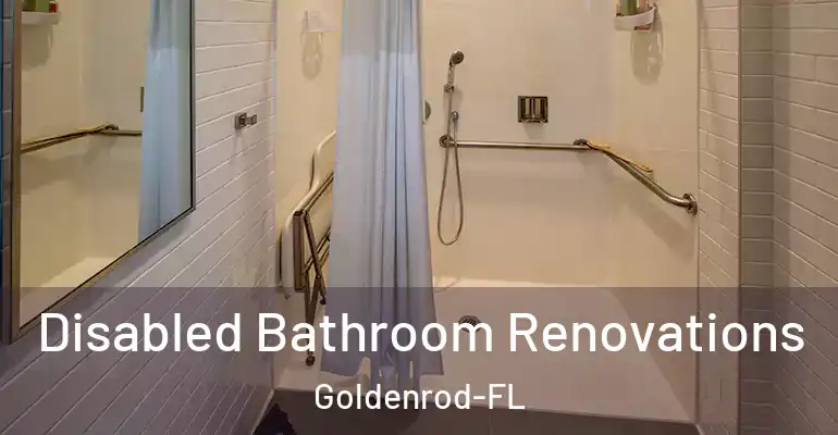 inner Bathroom imggen Disabled Bathroom Renovations Goldenrod-FL