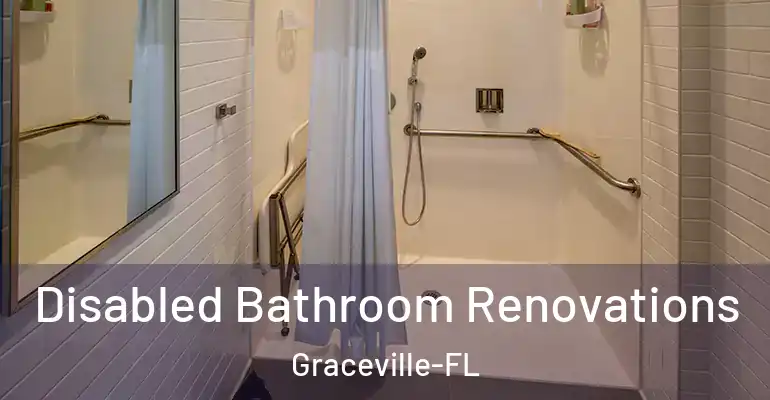 inner Bathroom imggen Disabled Bathroom Renovations Graceville-FL