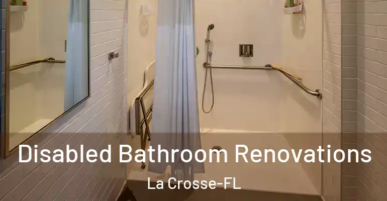 inner Bathroom imggen Disabled Bathroom Renovations La Crosse-FL