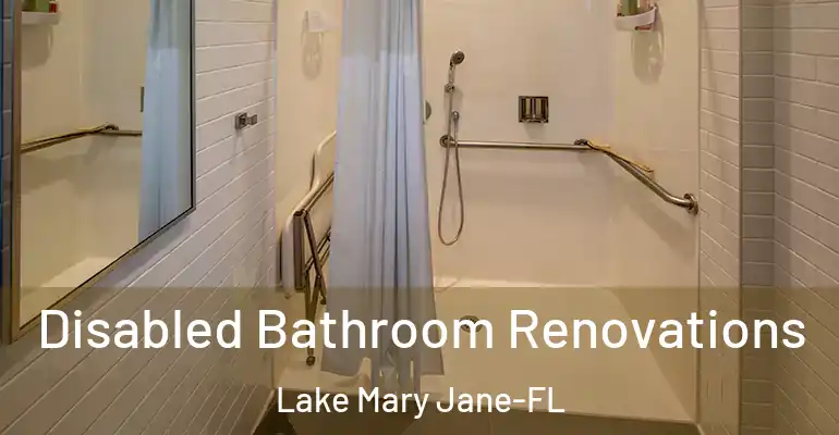 inner Bathroom imggen Disabled Bathroom Renovations Lake Mary Jane-FL