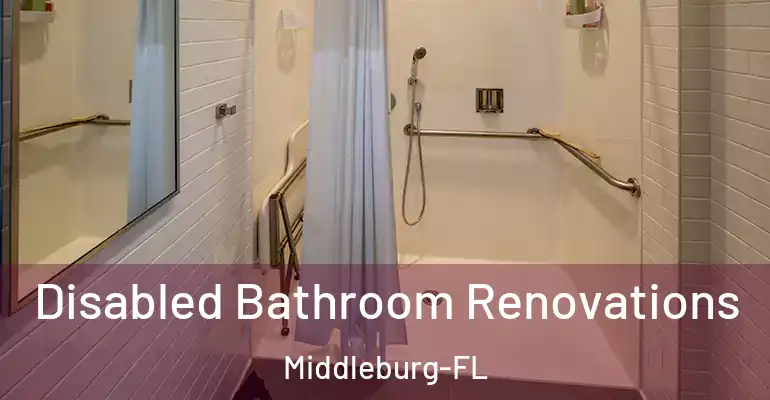 inner Bathroom imggen Disabled Bathroom Renovations Middleburg-FL