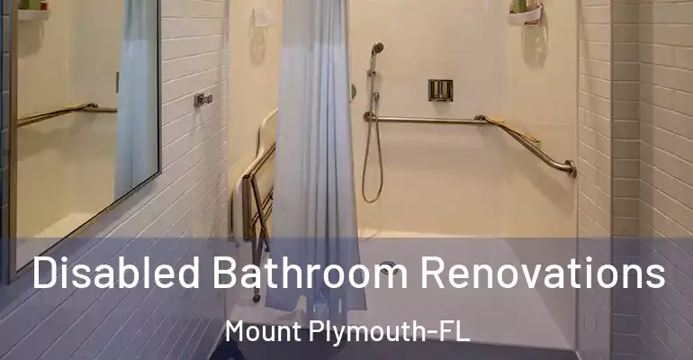 inner Bathroom imggen Disabled Bathroom Renovations Mount Plymouth-FL