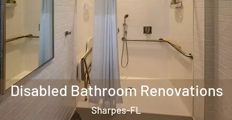 inner Bathroom imggen Disabled Bathroom Renovations Sharpes-FL